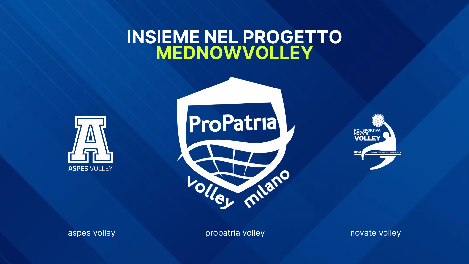 mednow volley con pro patria volley pro patria volley entra nel progetto mednow volley insieme ad aspes e novate